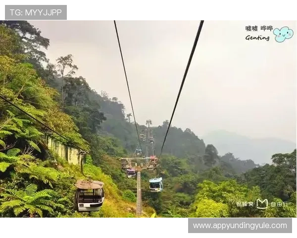 如何通过马来西亚云顶大赌场官方网站享受高额返水和丰富奖励福利
